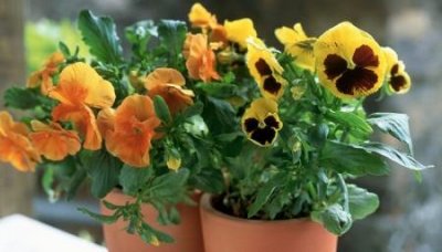 ​做木桌用什么环氧树脂胶粘木板用什么胶水