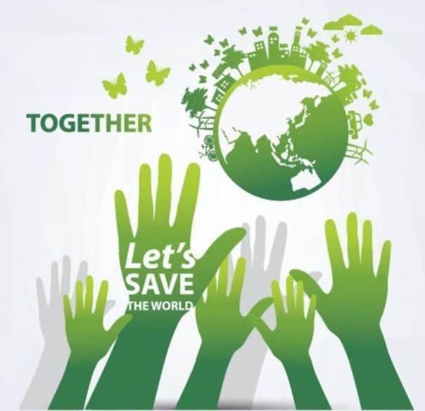 优洁士清洗剂测评（全系产品获绿色之星认证）(2)