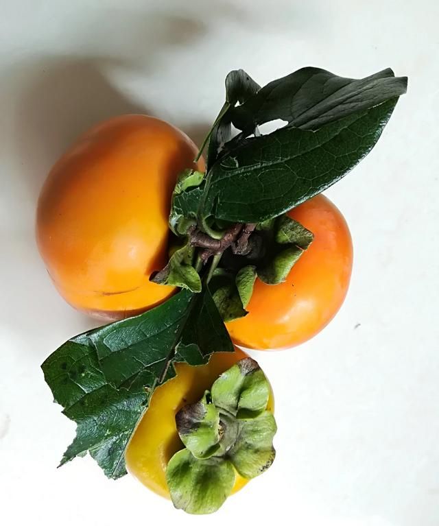 柿子怎么泡更甜更脆呢，柿子用什么办法才能不涩？图3