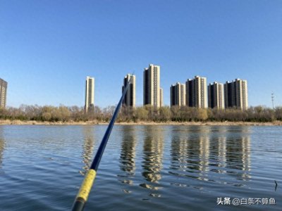 ​新手钓鱼入门指南：从零开始的垂钓初体验！