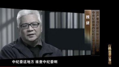 ​起底落马高官魏健：纪检老将，入行前曾分管聂树斌案