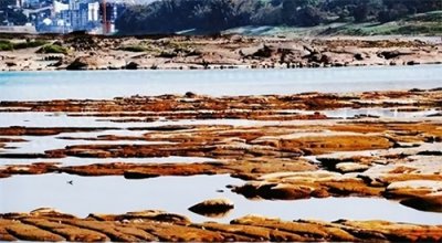 ​中国第3大岛屿，每年以140多米的速度在扩大，很快将会和大陆相连