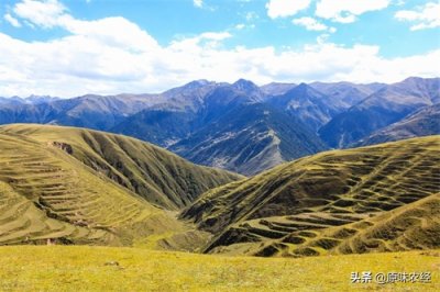 ​“退林还耕”有误解，耕地种粮理应该