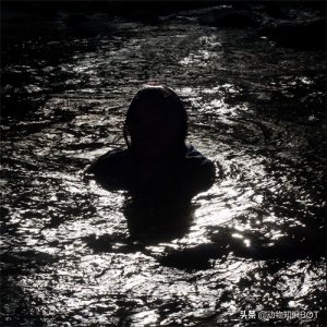 ​交配前要互扇巴掌，拉粑粑需要6小时，这就是“水猴子”树懒？