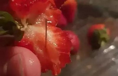 ​千吨草莓销毁，藏针事件系恶作剧，澳洲版“容嬷嬷”竟是一男孩