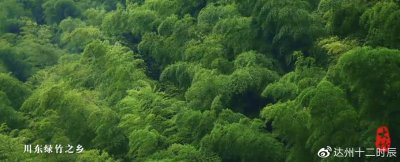 ​时尚之城 美丽大竹