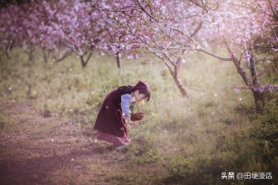 ​初中语文七年级下《一棵小桃树》教案