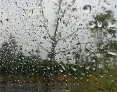 ​农村俗语“六月下连阴，遍地出黄金”真的出黄金吗？