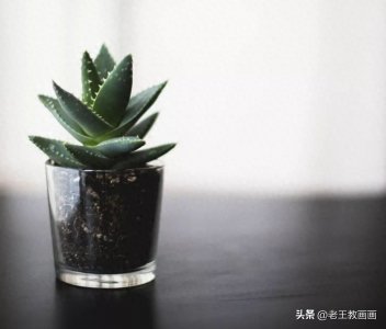 ​零基础也能画素描，教你画一幅盆栽