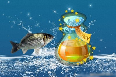 ​钓鱼小药用法用量的5个问题，学会后钓得多