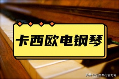 ​总有一款适合你！卡西欧电钢琴大盘点，来看看有你喜欢的型号吗？