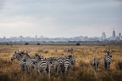​亚航开通直飞非洲内罗毕新航线，首航特惠价1582元起