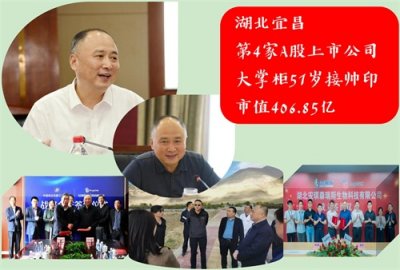 ​湖北宜昌第4家A股上市公司：大掌柜51岁接“帅印”，市值406.85亿
