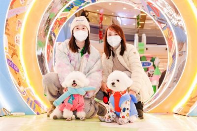 ​毛孩子成“流量引擎” 武汉新添一座宠物友好型商场