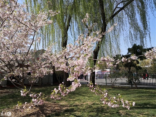 玉渊潭公园，AAAA级景区，位于北京海淀区