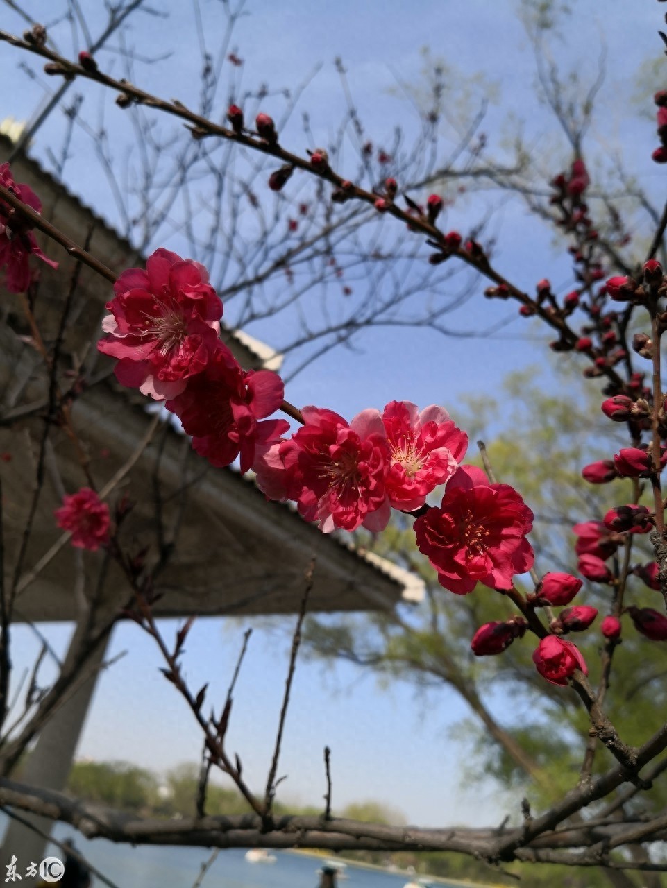 玉渊潭公园，AAAA级景区，位于北京海淀区