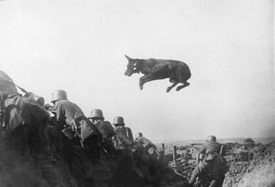 ​科普一战始末，知识点较多，收藏后慢慢品