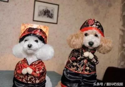 ​学会这个发财舞，保你2018春节红包翻一倍