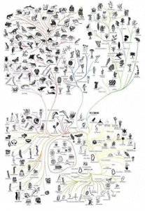​远古盾皮鱼，两性繁殖的“缔造者”它是第一个两性繁殖的鱼类