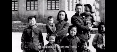 ​华为的创始人，任正非的成长经历