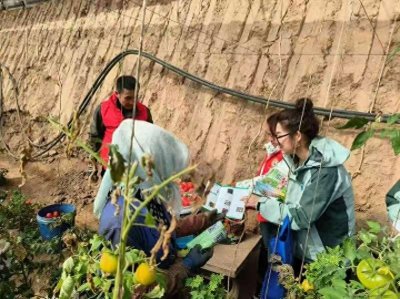 ​禁毒宣传为大棚蔬菜“增肥”