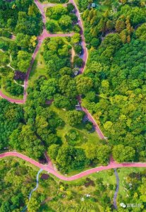 ​️️️12℃！日照下周天气预报出炉！