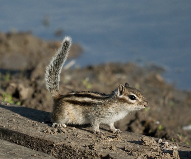 1762788325124876.jpeg 4d997adf54691e22ce9e7c05cb5ffb09.jpeg