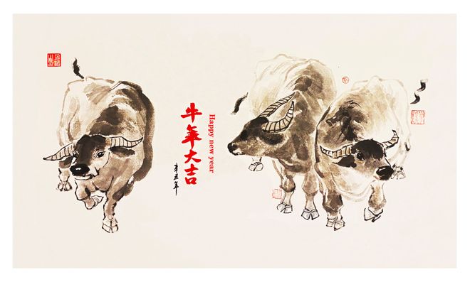 1762789619950601.jpeg 5c2f09e2fa9f850098c28b16162d4e2e.jpeg