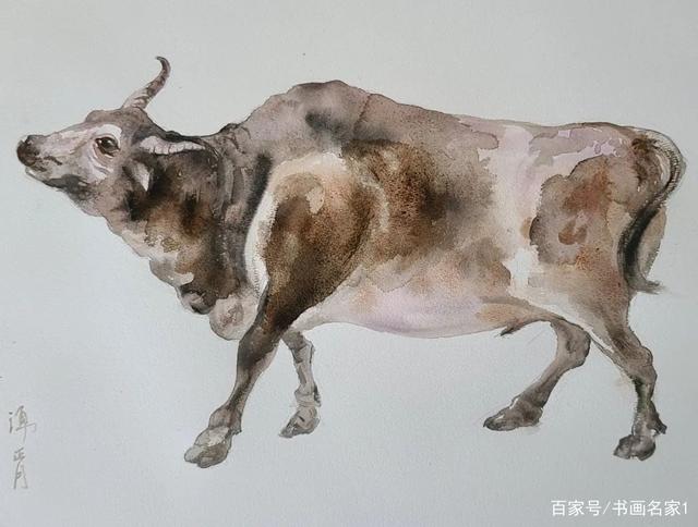 1762875666748654.jpeg 5b5c02bd55ed13bb0800f0da7f4637da.jpeg