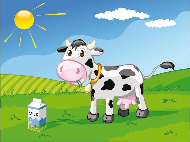 1762962498345635.jpeg 2ee26c8ac7b2344e48c0726d0bda96a7.jpeg